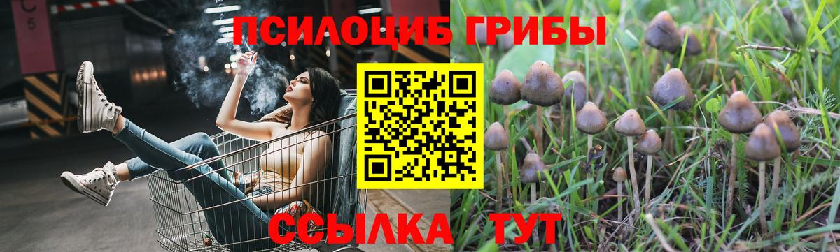 Псилоцибиновые грибы ЛСД  Вход с VPN  Отрадное 