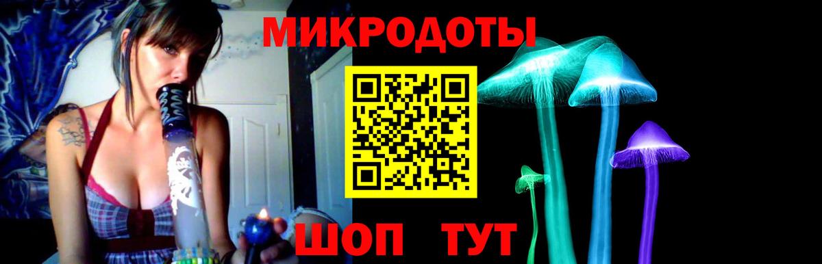 Галлюциногенные грибы Cubensis Отрадное