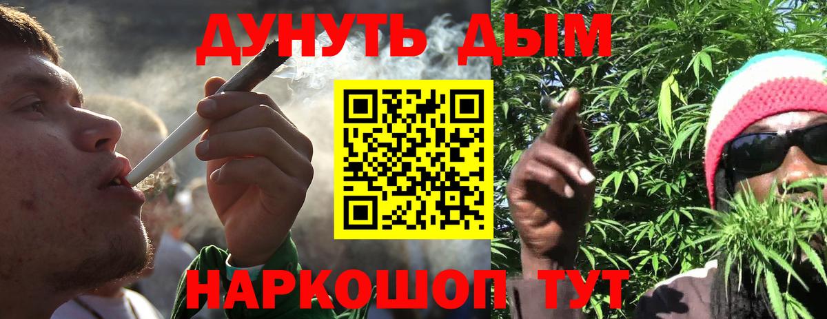 Каннабис планчик Отрадное